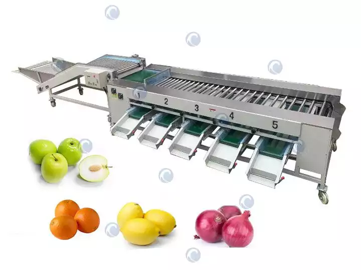 Máquina automática de clasificación y clasificación de frutas