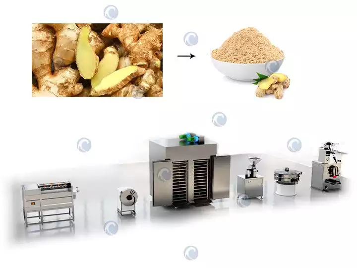 Ginger powder processing plant