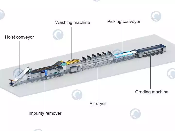 蔬菜清洗烘干分级线结构图