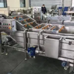 fruit and vegetable cleaning machine for sale