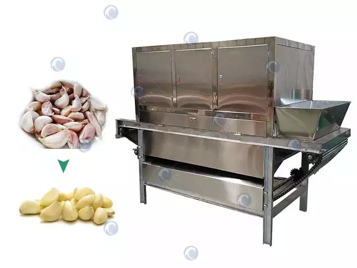 garlic peeling machine for sale