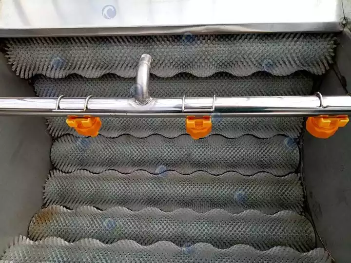 Inside structure of washing ang peeling machine