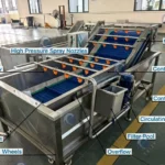 structure of fruit and vegetable cleaner