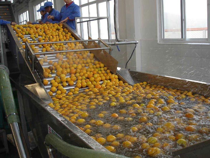 Une machine à laver les fruits et légumes profite à votre entreprise