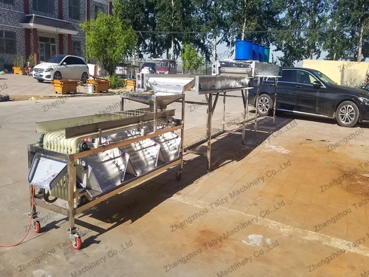 Jujube Grader Machine