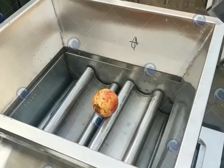 Crushing device